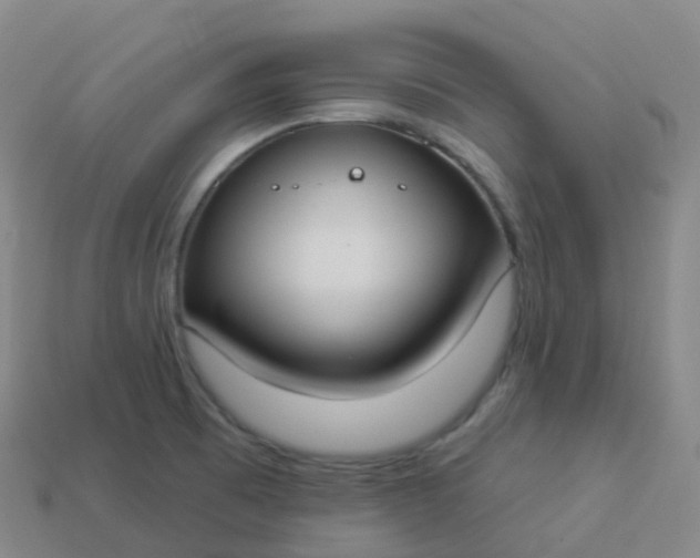 X0000113901473200910081819