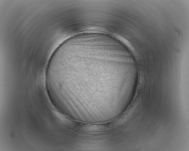 X0000113901474200910081819