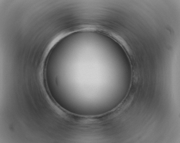 X0000113901475200910081819