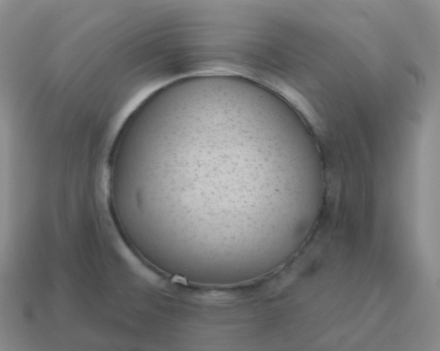 X0000113901476200910081819