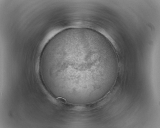 X0000113901477200910081819