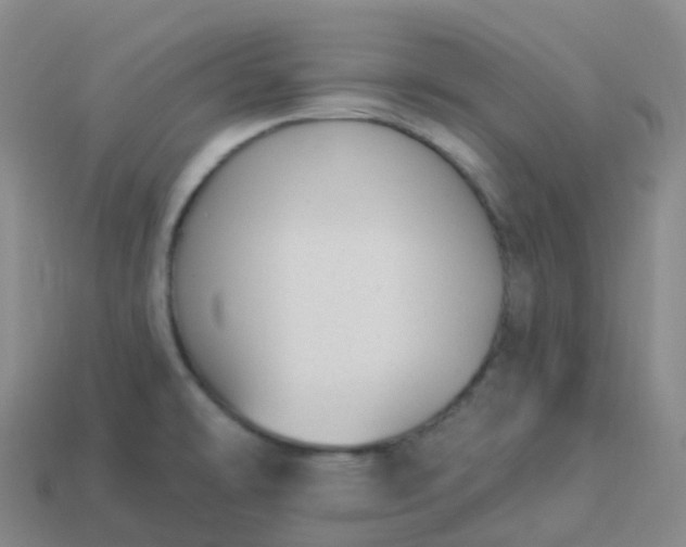 X0000113901478200910081819