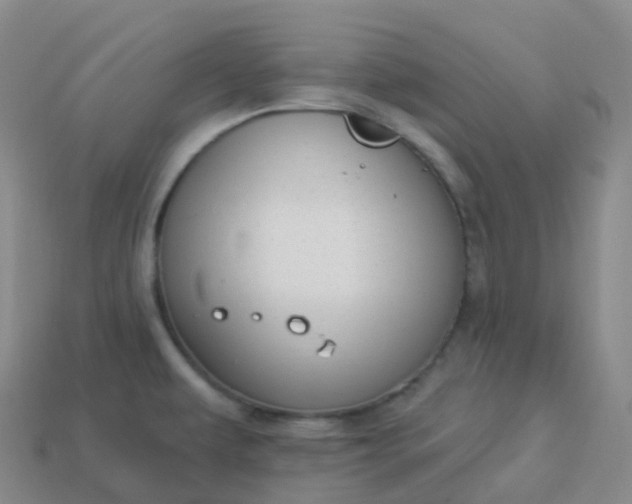 X0000113901479200910081819