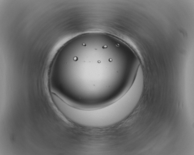 X0000113901480200910081819