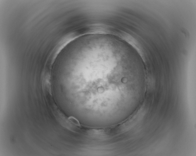 X0000113901481200910081819