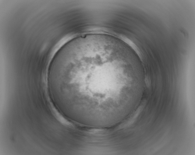 X0000113901482200910081819