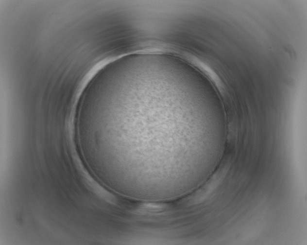 X0000113901483200910081819