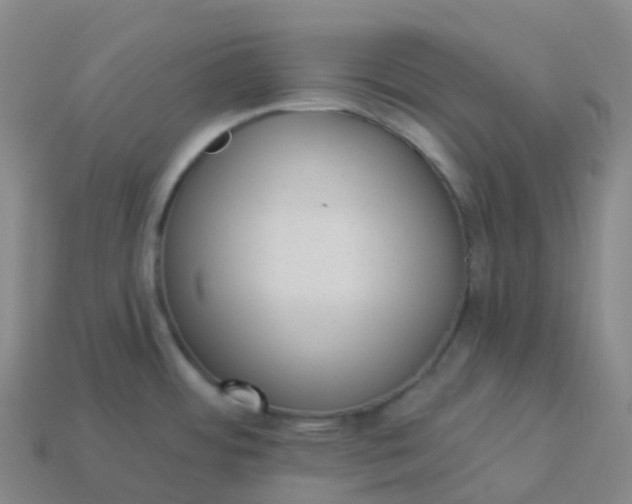 X0000113901484200910081819