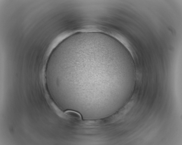 X0000113901485200910081818