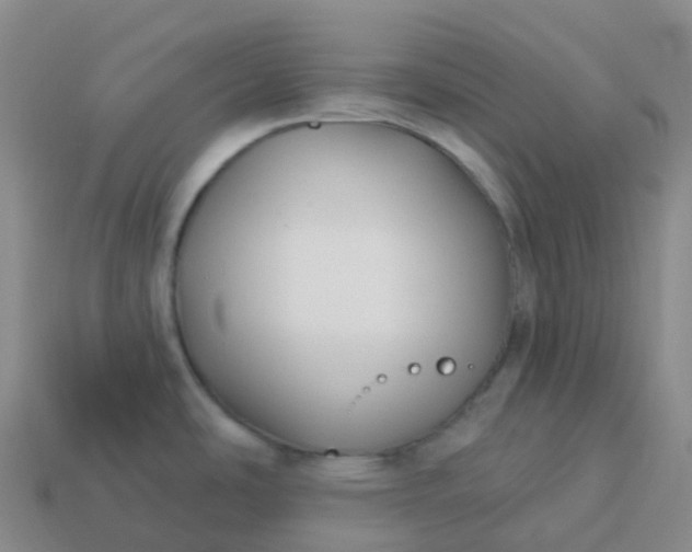 X0000113901486200910081818