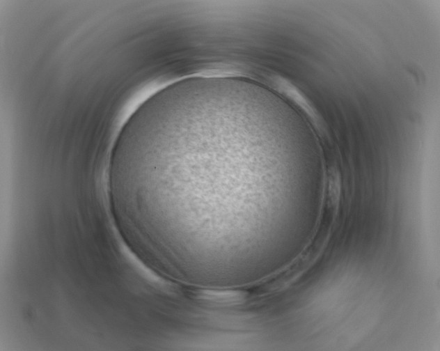 X0000113901487200910081818