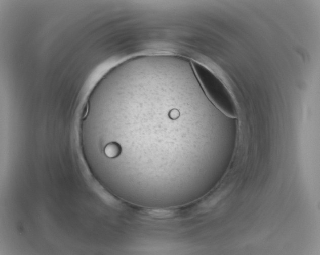 X0000113901488200910081818