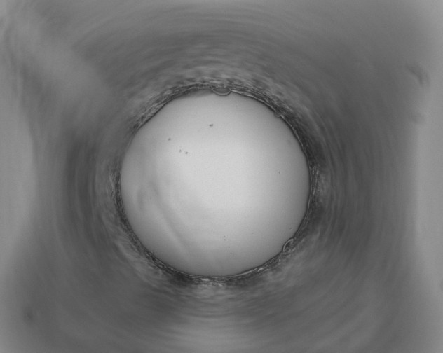 X0000113901489200910081818