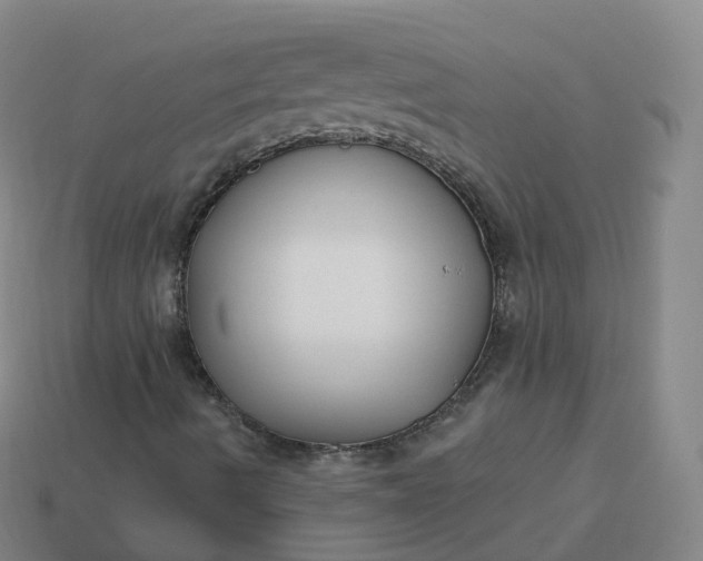 X0000113901490200910081818