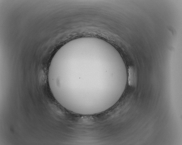 X0000113901491200910081818