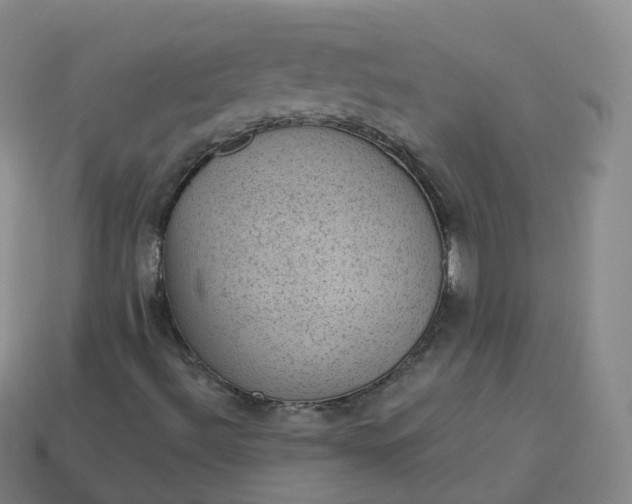 X0000113901492200910081818