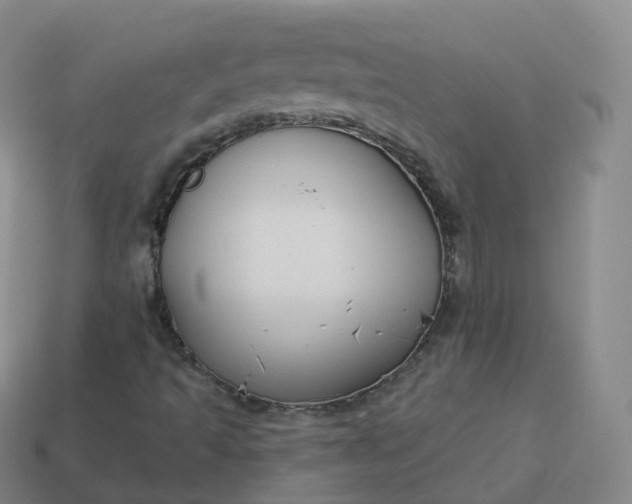 X0000113901493200910081818