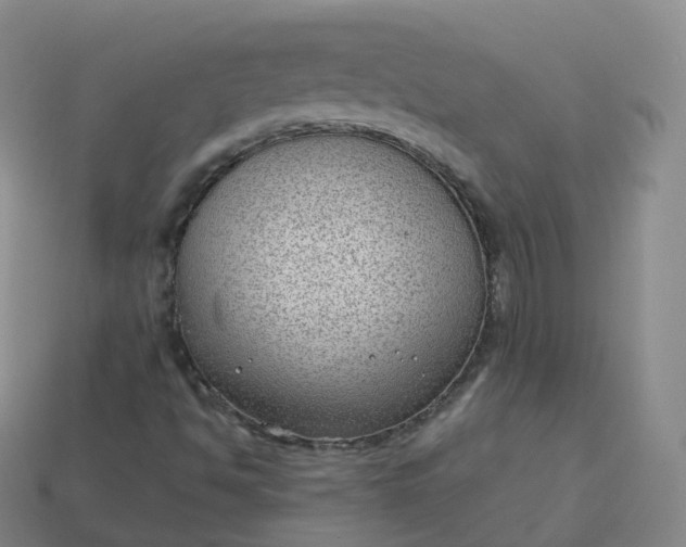 X0000113901494200910081818