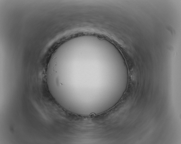 X0000113901495200910081818