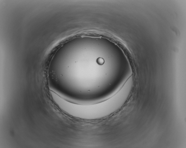 X0000113901496200910081818