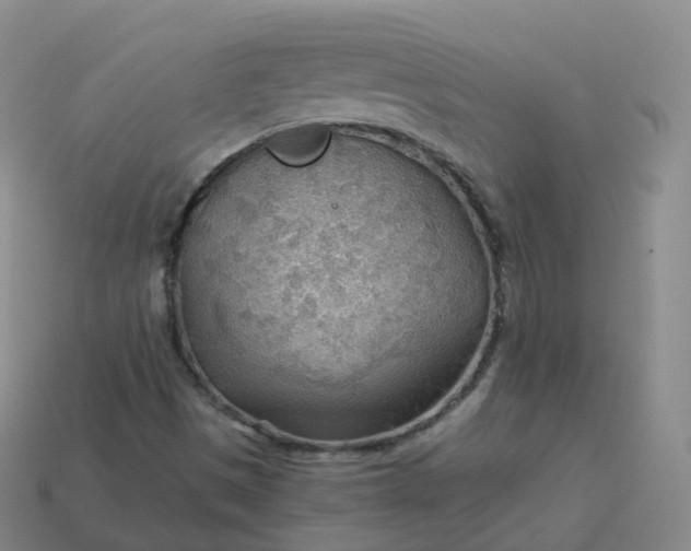 X0000113901497200910081818