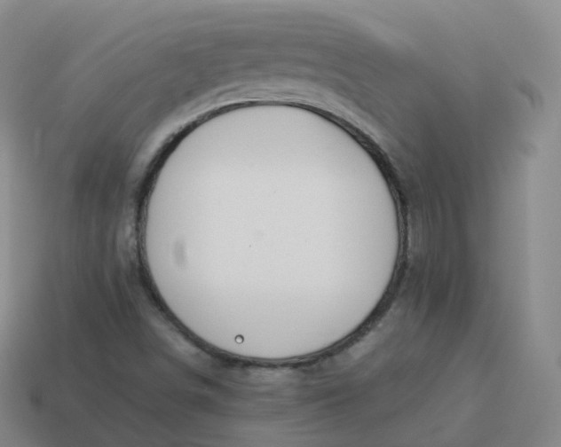 X0000113901498200910081818