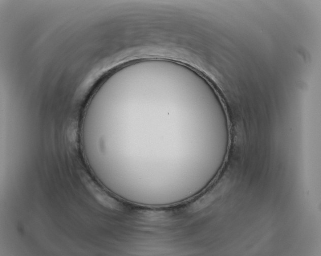 X0000113901499200910081818