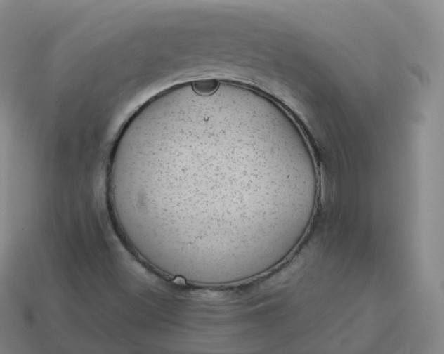 X0000113901500200910081818