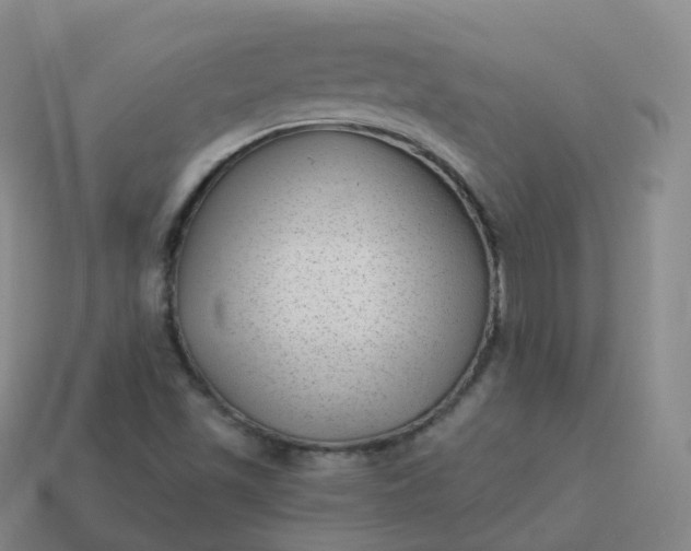 X0000113901501200910081818