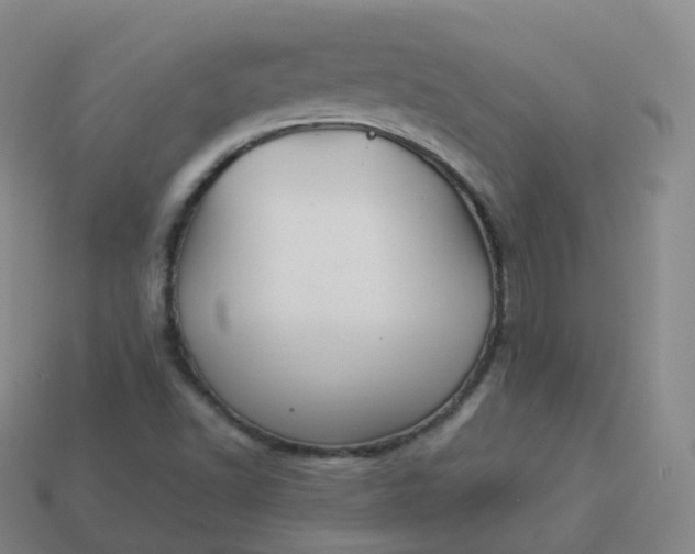 X0000113901502200910081818