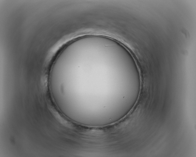 X0000113901503200910081818