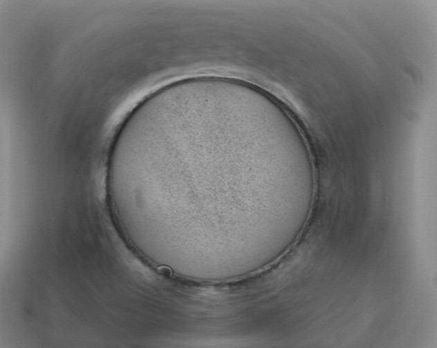 X0000113901504200910081818