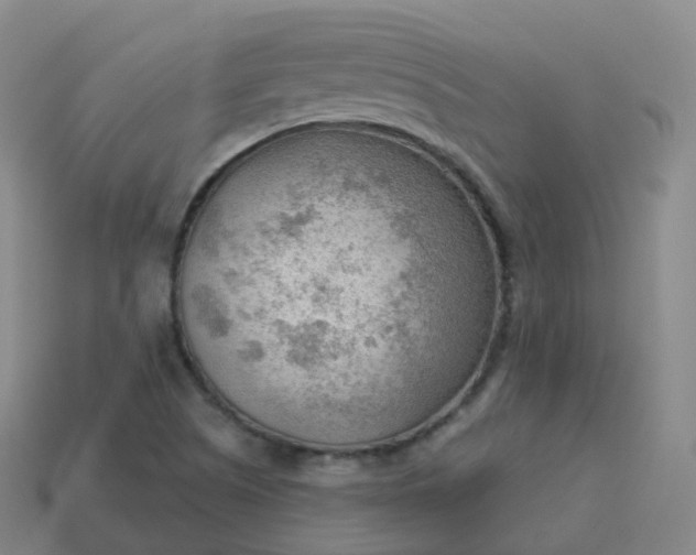 X0000113901505200910081818