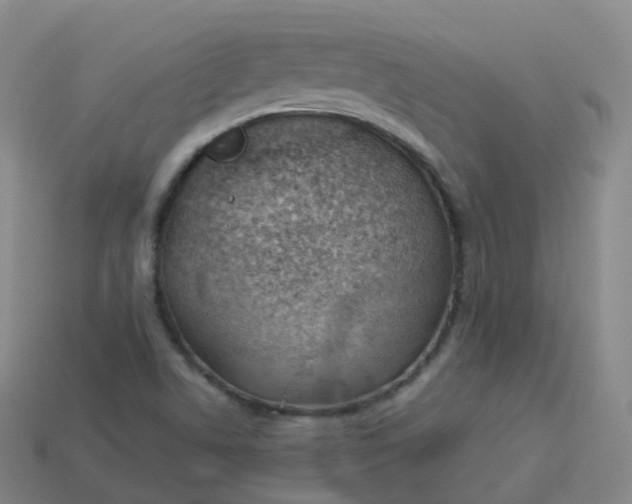 X0000113901506200910081818