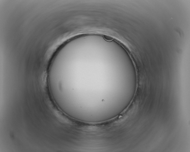 X0000113901507200910081818