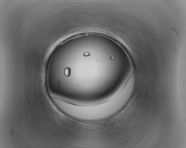 X0000113901508200910081818