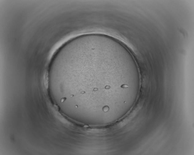 X0000113901510200910081818