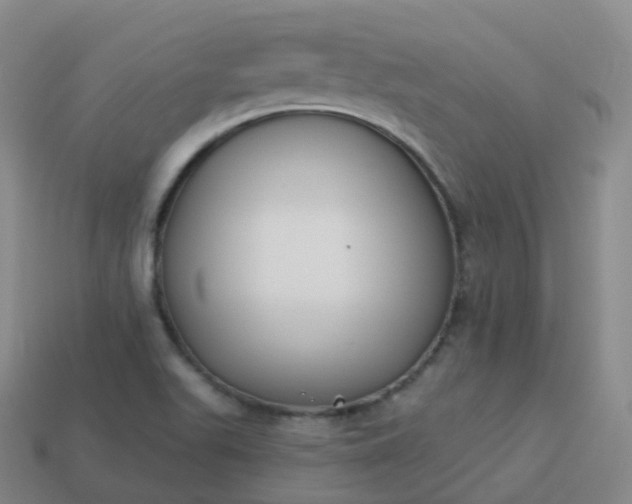 X0000113901511200910081818