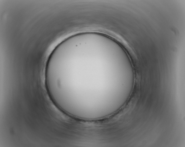 X0000113901512200910081818