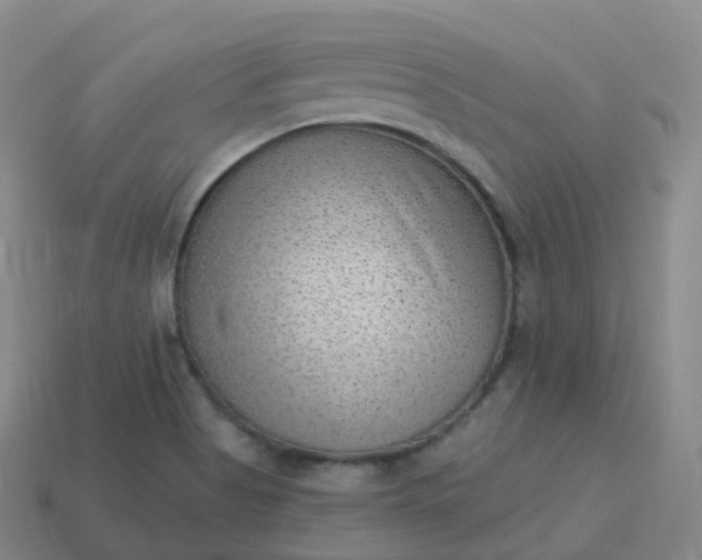 X0000113901513200910081818