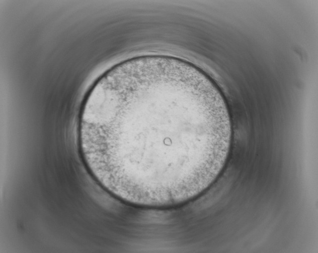 X0000113901514200910081818