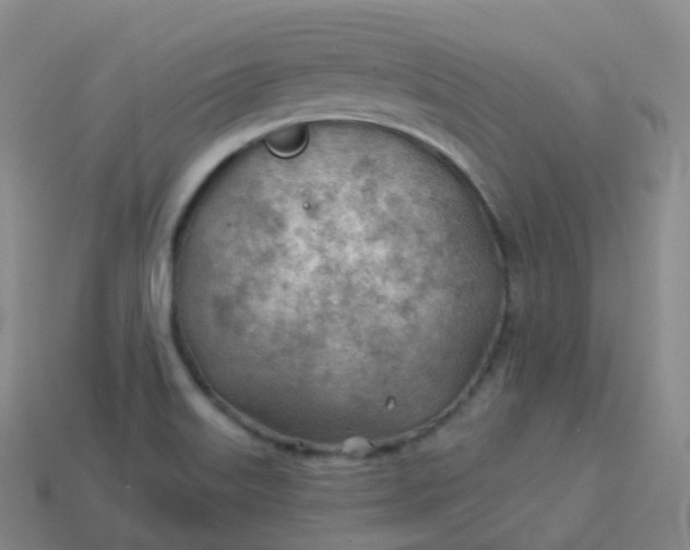 X0000113901515200910081818