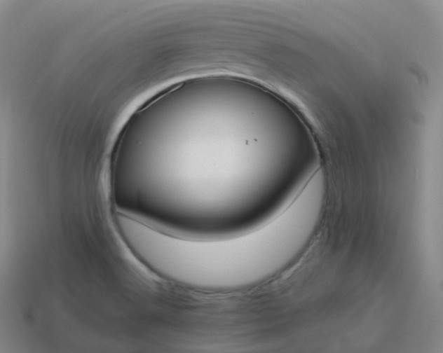 X0000113901516200910081818