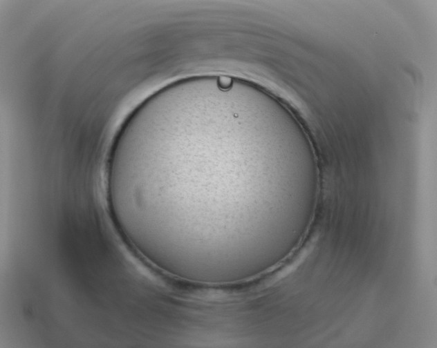 X0000113901517200910081818