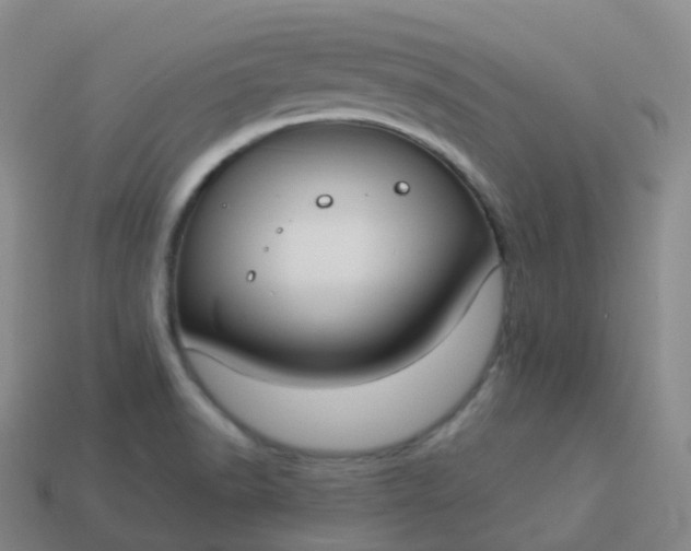 X0000113901518200910081818