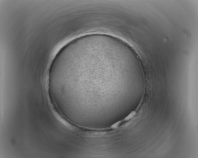 X0000113901519200910081818