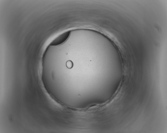 X0000113901520200910081818