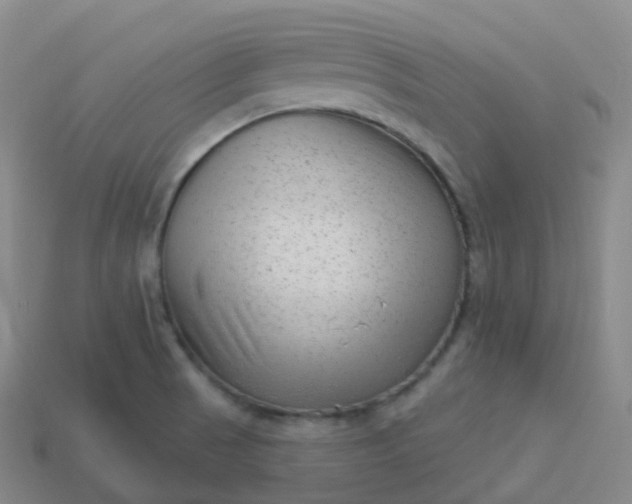 X0000113901521200910081818