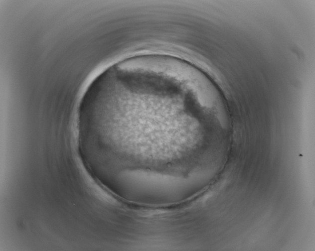 X0000113901522200910081818