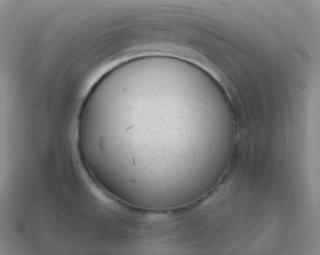 X0000113901523200910081818